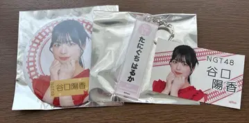 NGT48 타니구치 요카 캔뱃지 키링 스티커