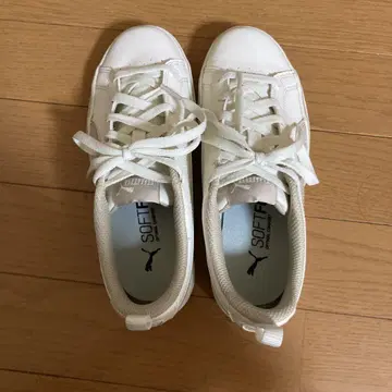 PUMA SOFTFOAM 화이트 스니커즈