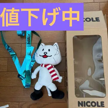 가격 인하 중! BUMP OF CHICKEN 니콜