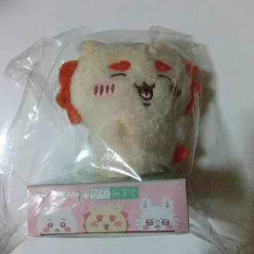 치이카와 (먼작귀) 피타레스토 시사