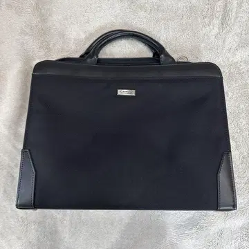 취업 활용 비즈니스 백