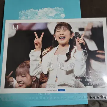 안주르무 핑포스