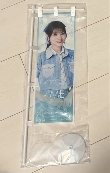 카니사와 모에코 미니 노보리
