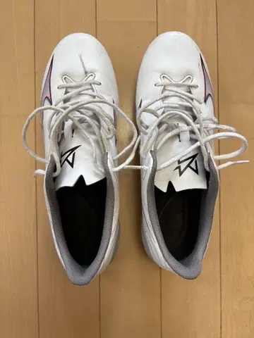 MIZUNO ALPHA SELECT 25.0 cm
