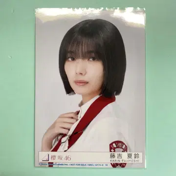 사쿠라자카46 후지요시 카린 As you know? 봉입 요리