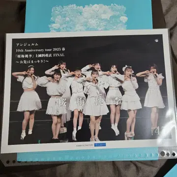 안주루무 핑포스