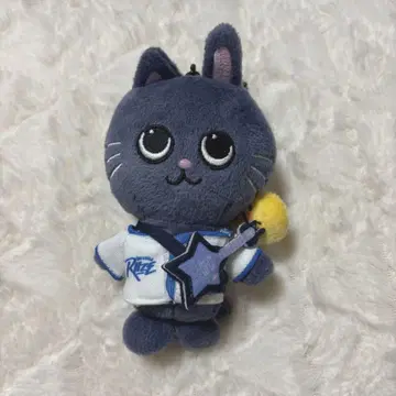 WE LITTLE RIIZE PARK 원빈 키링 토냥덕