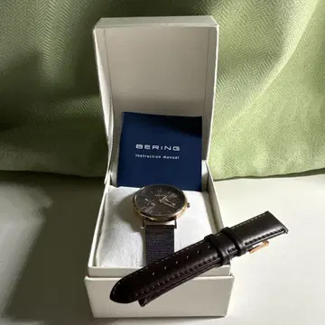 BERING Changes 유니섹스 손목시계