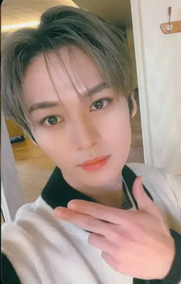 StrayKids THE SOUND 리노 트레이딩 카드 럭키드로우