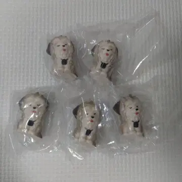 어깨 쿵