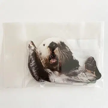 랏코 릴로 BIG 아크릴 스탠드 (하이)