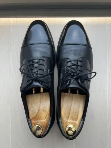 텍시 럭스 27cm