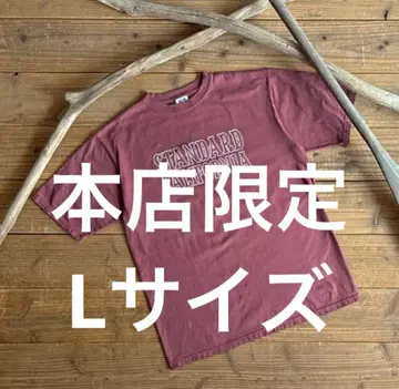 standardCalifornia 본점 한정판 L 사이즈