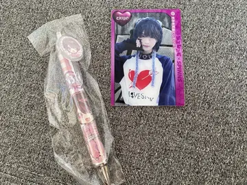 러브식 태양