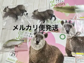 일본의 생물 03