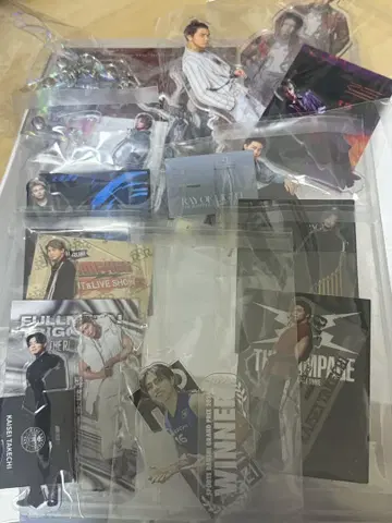 타케치 카이세이 아크릴 스탠드 모음
