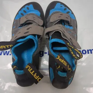 La Sportiva Tarantula 클라이밍 신발 41 EU