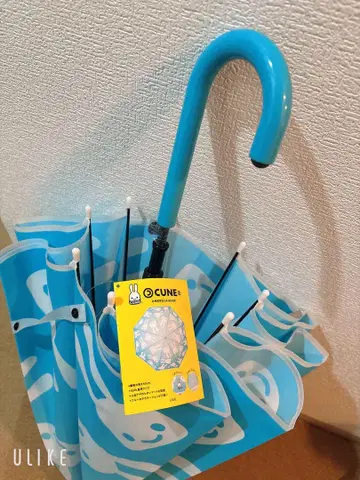 CUNE 우산 엄브렐라BOOK
