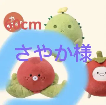 사야카 님