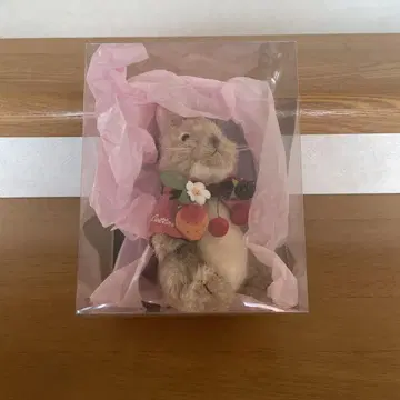 핑크하우스 코튼 테일