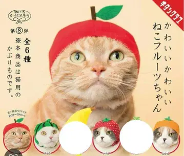 고양이 모자 귀여운 고양이 후르츠쨩 4종
