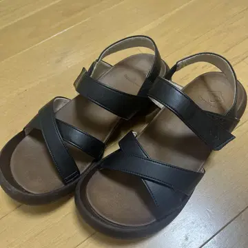 리게 카누 M