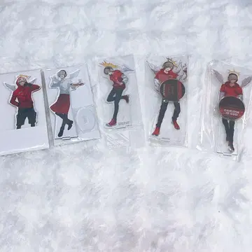 CRAZY RACCOON 달마이즈고도 아크릴 스탠드 5종 세트