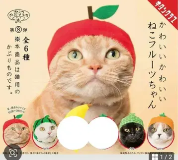 고양이 모자 귀여운 고양이 후르츠 4종