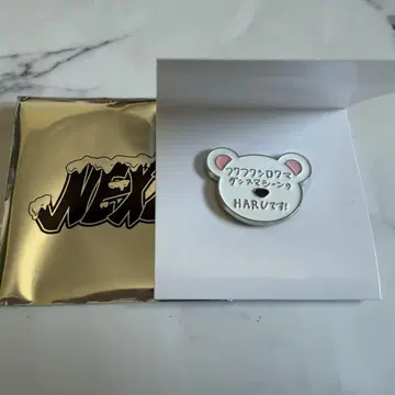 NEXZ 할 랜덤 핀 배지