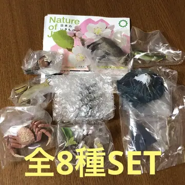 Nature of Japan 일본의 생물 03 총 8종 SET