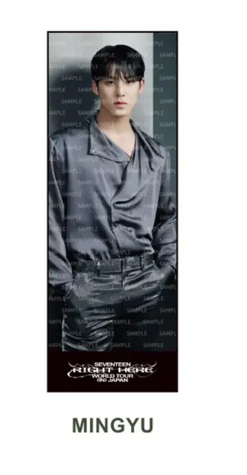 SEVENTEEN 빅 포토 타월 민규