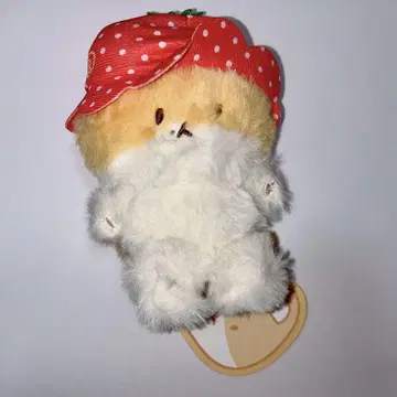 [ EXO ] 백현 봉제 인형 트레기 딸기
