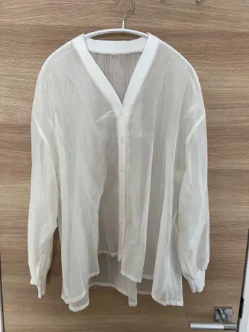 백 플리츠 시어 셔츠