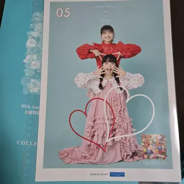 안주루무 핑포스