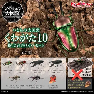 생물대도감 장수풍뎅이 10 6종류