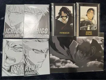BLEACH 천년혈전편 쿠로사키 이치고 아사노이 렌지 엽서 실버 카드
