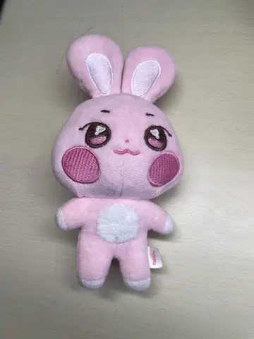 ANITEEZ 톤비리 키링