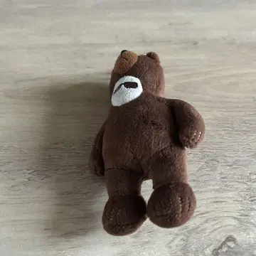 케츠메이시 곰