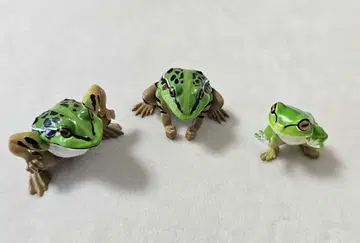 개구리 가챠가챠