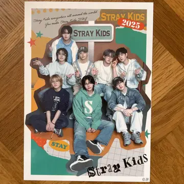 straykids 포토 카드 트레이딩 카드
