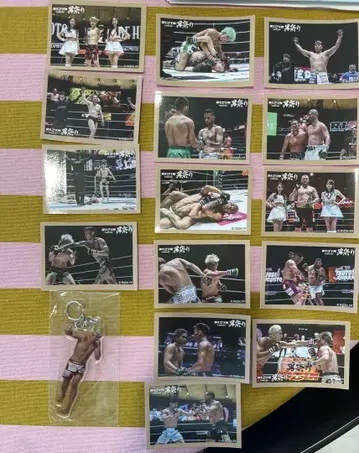 RIZIN 남자 축제 개최 기념 복권 아크릴 키링 스티커