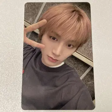 BOYNEXTDOOR 공연장 한정판 FC 팬클럽 트레이딩 카드 테산