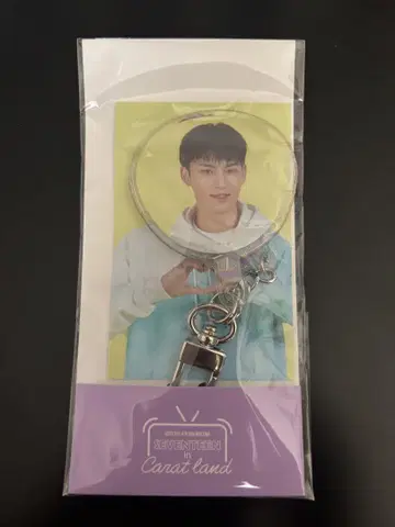SEVENTEEN 민규 MINGYU Carat land