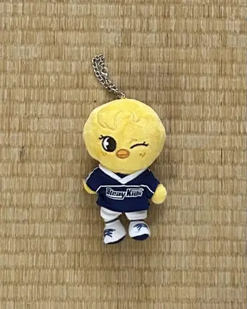 StrayKids skzoo 백 참 Felix