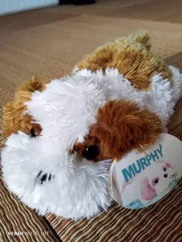 Murphy 봉제 인형 개 화이트와 브라운