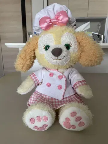 쿠키 앤 봉제 인형