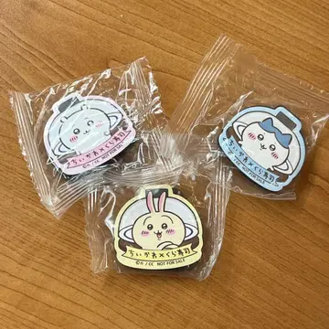 치이카와 쿠라스시 마그넷 시트 치이카와 하치와레 토끼 클리어 파일