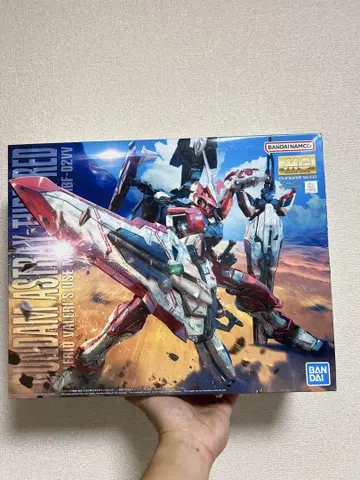 MG 1/100 건담 아스트레이 턴레드