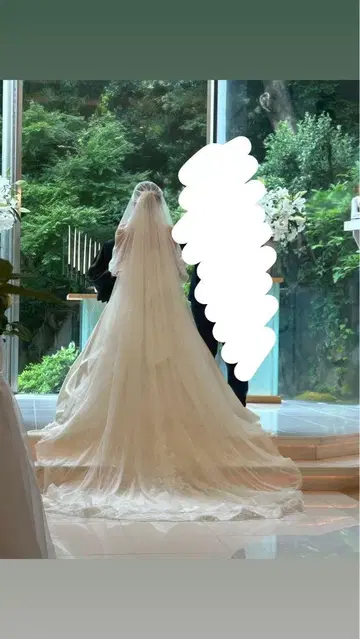 화이트 레이스 기차