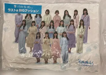 히나타자카46 2023 히나타자카46 복권 라스트 상 BIG 쿠션